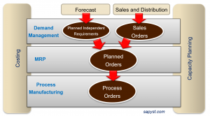 Planning Business Process for SAP Process Industries