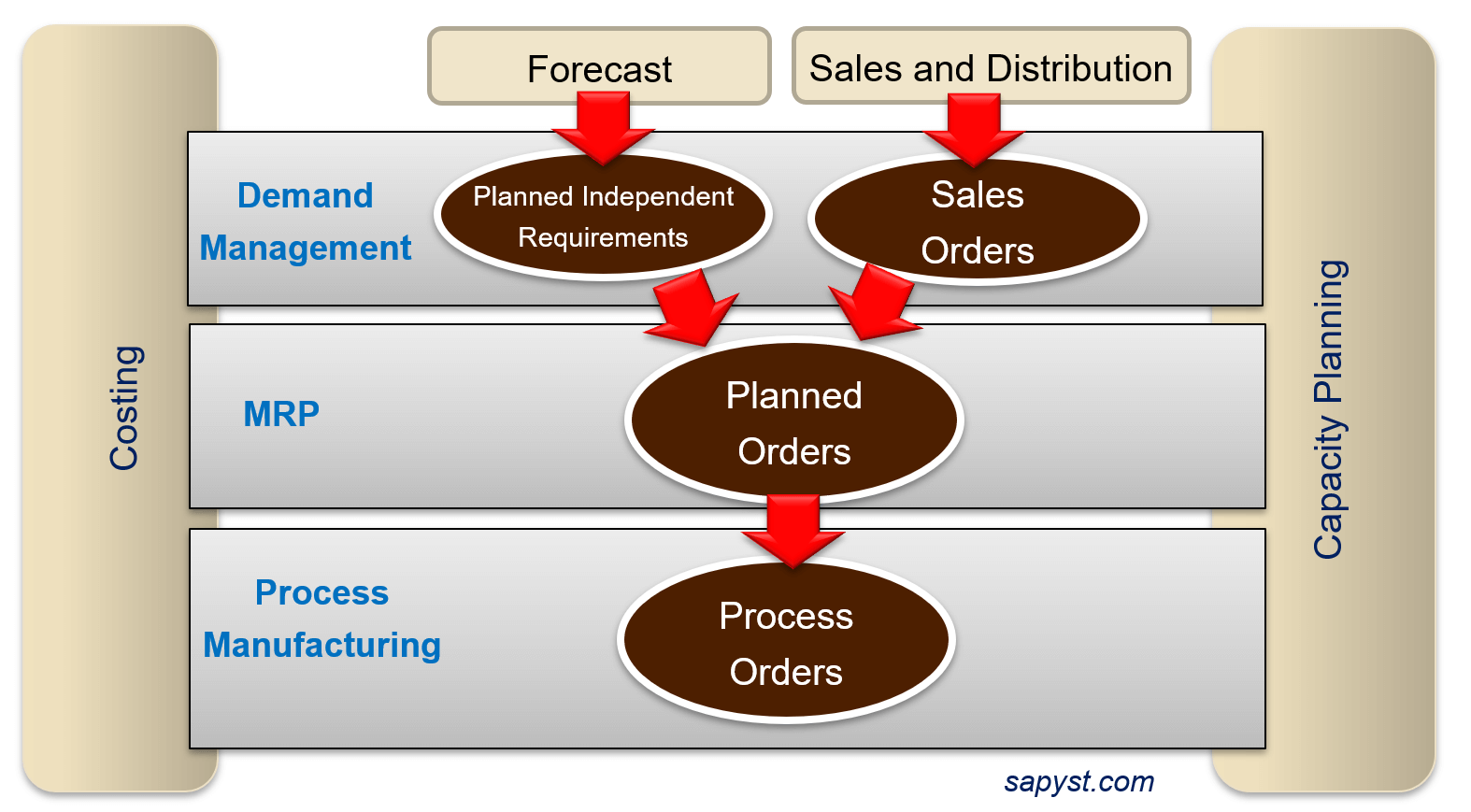 Planning Business Process for SAP Process Industries